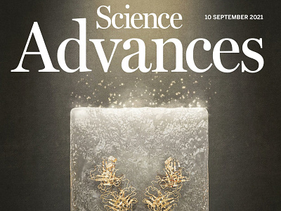 COVER FOR SCIENCE ADVANCES cover illustration render sience visualization