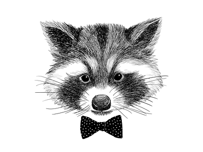 Hand Drawn Raccoon Illustration animal design graphic design illustration raccoon vector