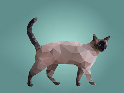 Low Poly Cat Illustraton animal cat design graphic design illustration low poly vector
