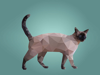 Low Poly Cat Illustraton