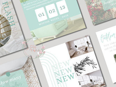 Airy Mint Small Business Templates branding custom design graphic design illustration