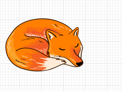 Fox fox illustration red orange zzz