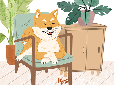 Shiba Inu & house plants