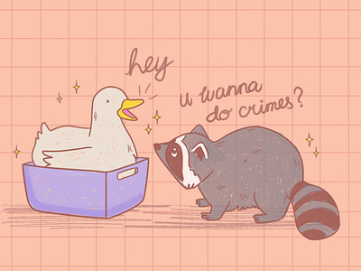 Duck and Raccoon