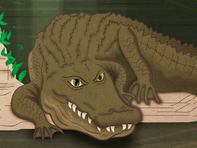 Swamp crocodile digital illustration