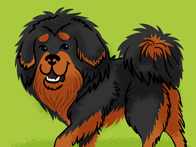 Tibetan Mastiff