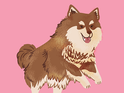 Finnish Lapphund childrensillustration cute digitalart doggo dogs finnishlapphund illustration pink