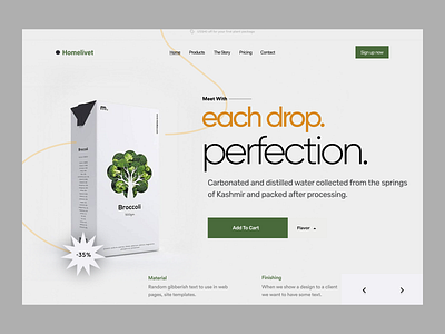 E-commerce Shop landing page