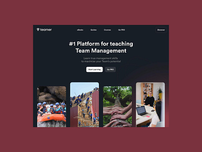 Teamer - Platform for teaching Team Management Website Design