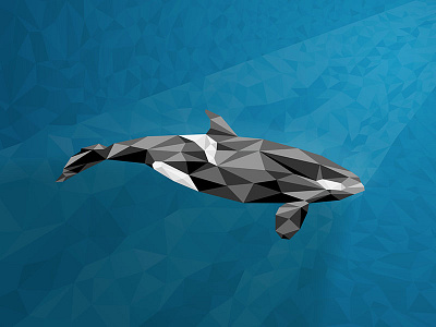 Low Poly Whale killer low ocean orca poly sea underwater whale