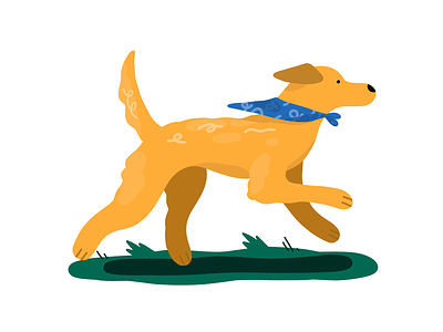 Golden Boy digital dog editorial golden retriever icon illustration illustrator procreate