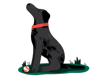 Black Lab digital dog editorial icon illustration procreate
