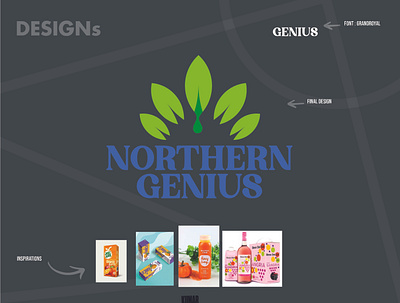 Northern Genius brand brandidentity branding design graphic graphic design logo vector