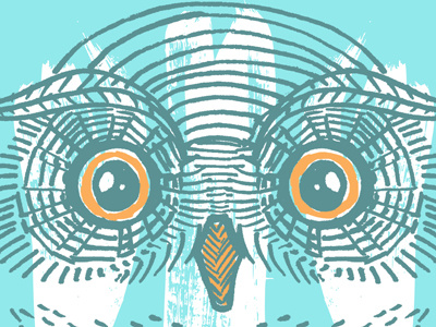hootie illustration owl