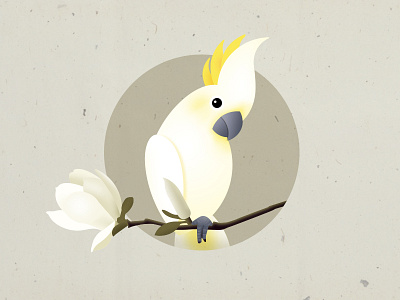 Parrot animal bird cute flower icon illustration parrot pet spring