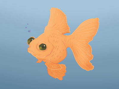 Goldfish cartoon design doodle draw goldfish graphic design illustration myart photoshop procreate
