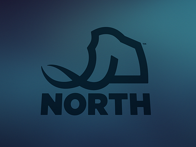 North App Co. blue branding design ice age identity logo mammoth