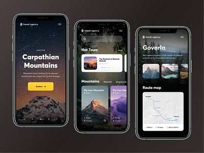 Travel Agency Mobile // Website Concept