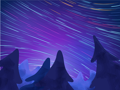 The Starry Night design forest gradient illustration landscape night sky spruce star trail stars tree