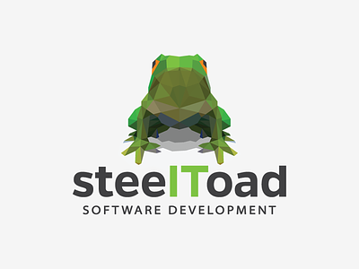 Logo design proposal for steelToad frog logo software development toad