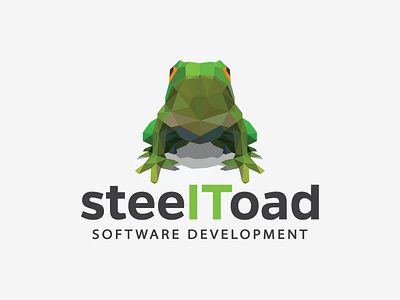 Logo design proposal for steelToad