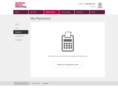Placement Portal - Expenses
