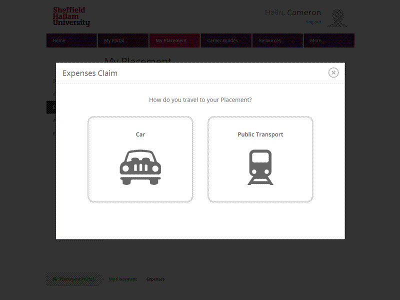 Placement Portal - Expenses Part 2 portal education placement university expenses