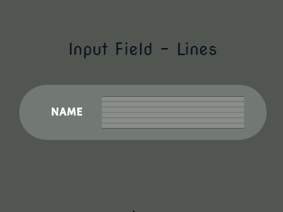 Input Field Effect animation focus input field interaction ux