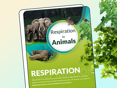 Respiration in Animals animals branding design logo mobile app product respiration ui ux website