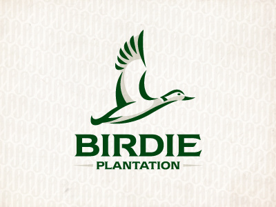 BirdP