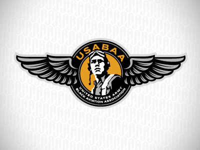 USABAA ames aviation emblem jerron logo pilot wings