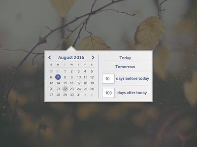 Date Picker calendar dailyui080 date datepicker design form picker search ui