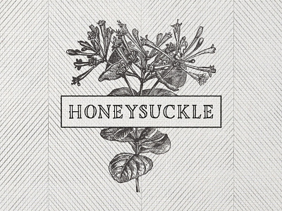 Honeysuckle design distress honeysuckle pattern product texture