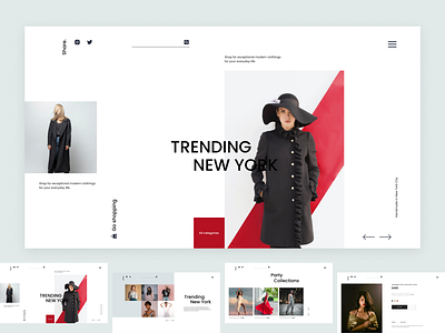 Fashion Website Design