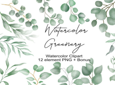 Watercolor Eucalyptus Clipart app branding design graphic design illustration logo typography vector