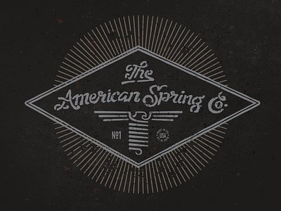 The American Spring Co. american bruner design eagle illustration logo mike retro spring