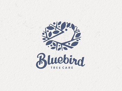 Bluebird 3 bird branch bruner design illustration leaves logo mike