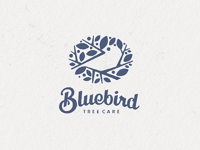 Bluebird 3