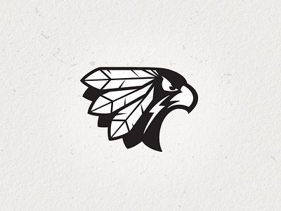 Hawks designs, themes, templates and downloadable graphic elements on  Dribbble