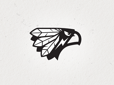 Eagle Warrior 2 brave bruner design eagle feather hawk. warrior logo mike sports