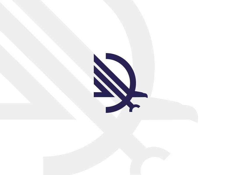 D-eagle Drib insurance bruner mike icon brand design logo eagle d