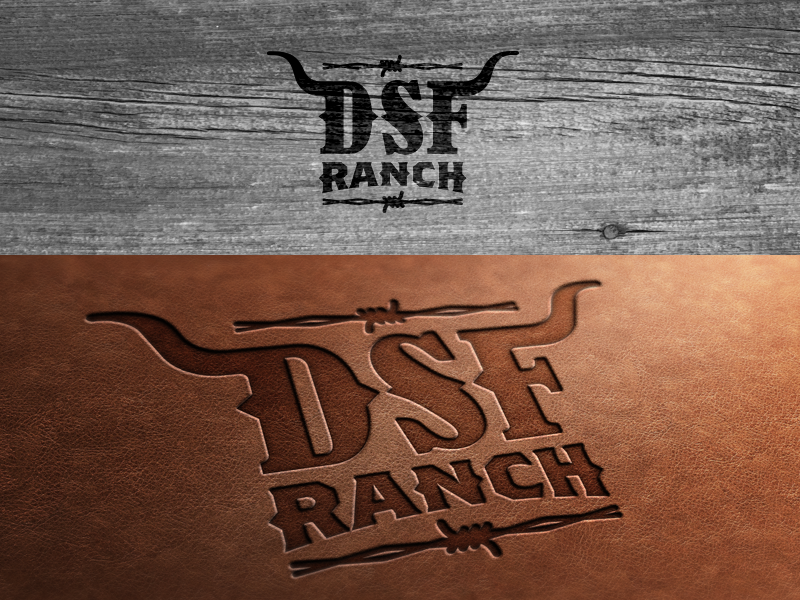 DSF Ranch_Drib by Mike Bruner on Dribbble