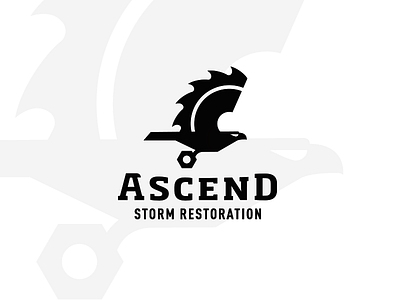 Ascend Storm Restoration_drib