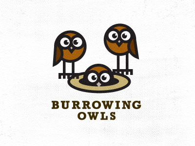 Burrowing Owls burrow burrowing owl design hole mike bruner nature owls parks playful