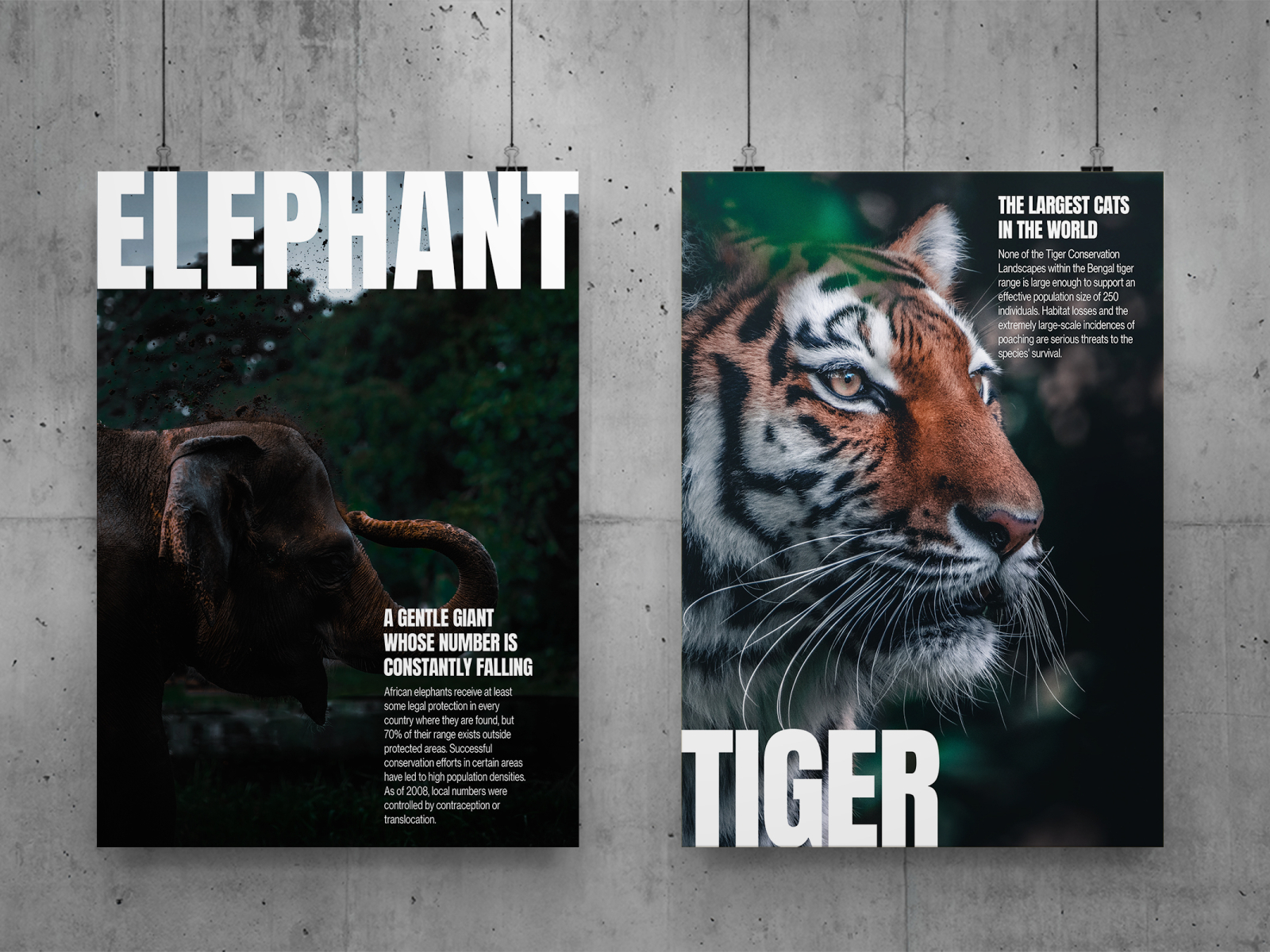 Animal Poster Design by Marija Đekić on Dribbble