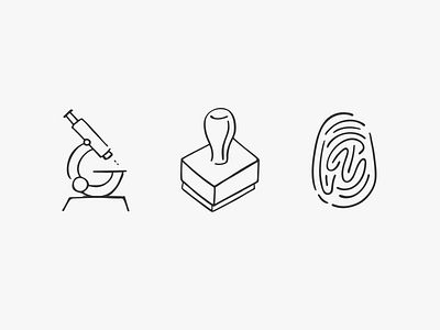 Discovery, Branding and Identity agency branding discovery icons identity