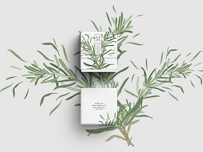 Packaging Design for a Candle Company adobe illustrator box design branding design candles floral design floral pattern illustration logo design nature design packaging packaging mockup packagingdesign packagingpro procreate procreate art procreate brushes procreateapp