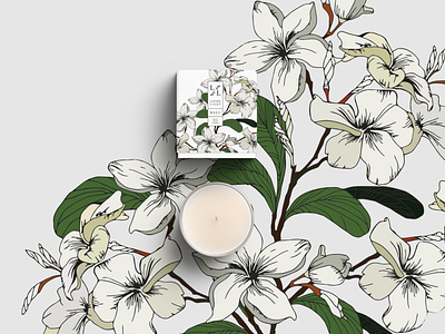 Packaging Design Part II for an Indonesian Candle Company boxdesign branding customillustrations illustrator logodesign packaging packaging design packaging mockup packagingpro procreate art procreateapp