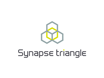 Synapse triangle