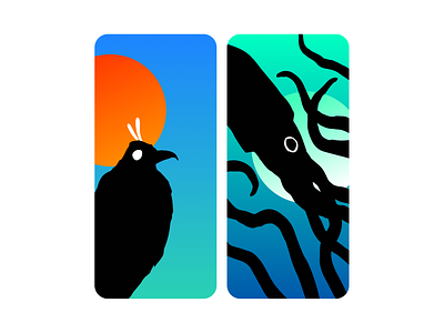 Witch - illustration app bird design illustration squid
